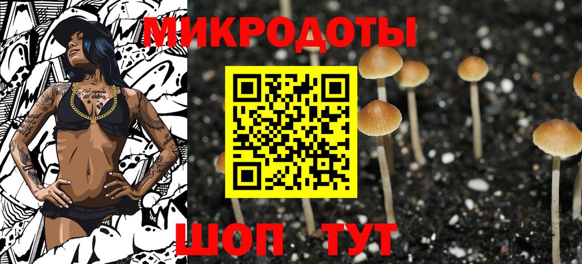 Галлюциногенные грибы Psilocybine cubensis Кемерово
