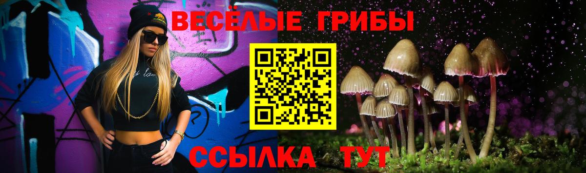 Галлюциногенные грибы Psilocybine cubensis  Вход с VPN  Кемерово 